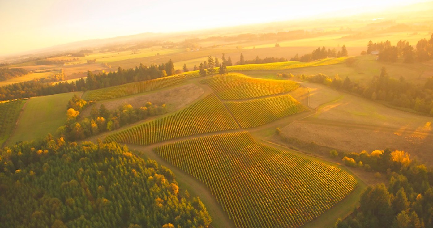 Soter Vineyards